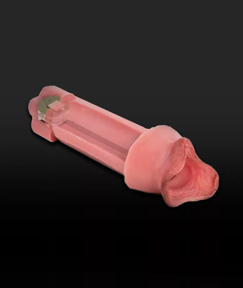 Realdoll - AI Vagina
